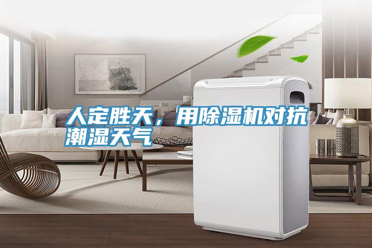人定勝天，用除濕機(jī)對抗潮濕天氣