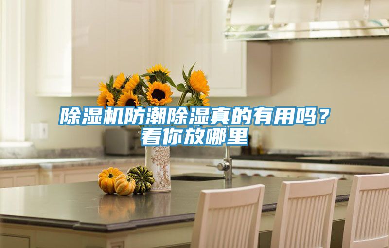 除濕機(jī)防潮除濕真的有用嗎？看你放哪里