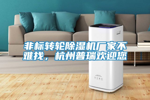 非標轉輪除濕機廠家不難找,杭州普瑞歡迎您