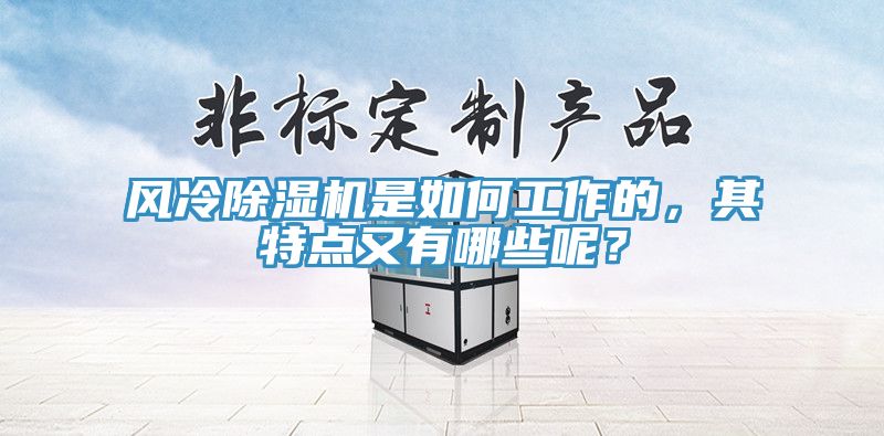 風冷除濕機是如何工作的，其特點又有哪些呢？
