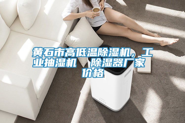 黃石市高低溫除濕機(jī)，工業(yè)抽濕機(jī)  除濕器廠家 價(jià)格