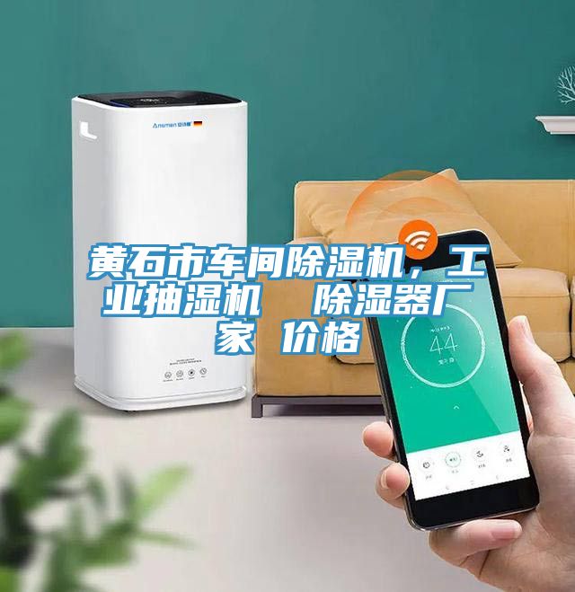 黃石市車間除濕機(jī)，工業(yè)抽濕機(jī)  除濕器廠家 價(jià)格