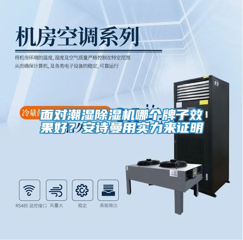 面對潮濕除濕機哪個牌子效果好？安詩曼用實力來證明